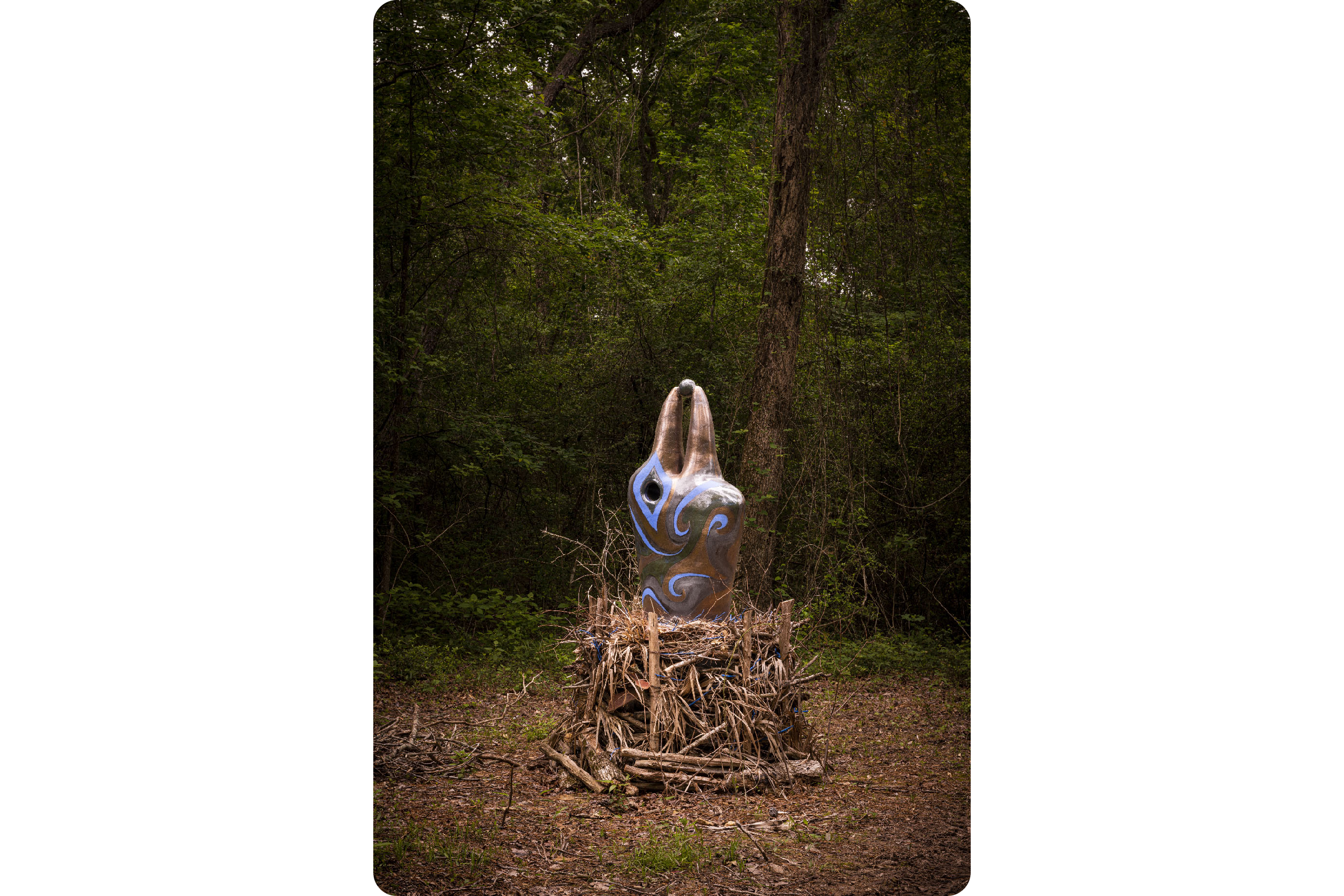 1.Budge_BowerBird_SingleVert_Hester_20230420_5379