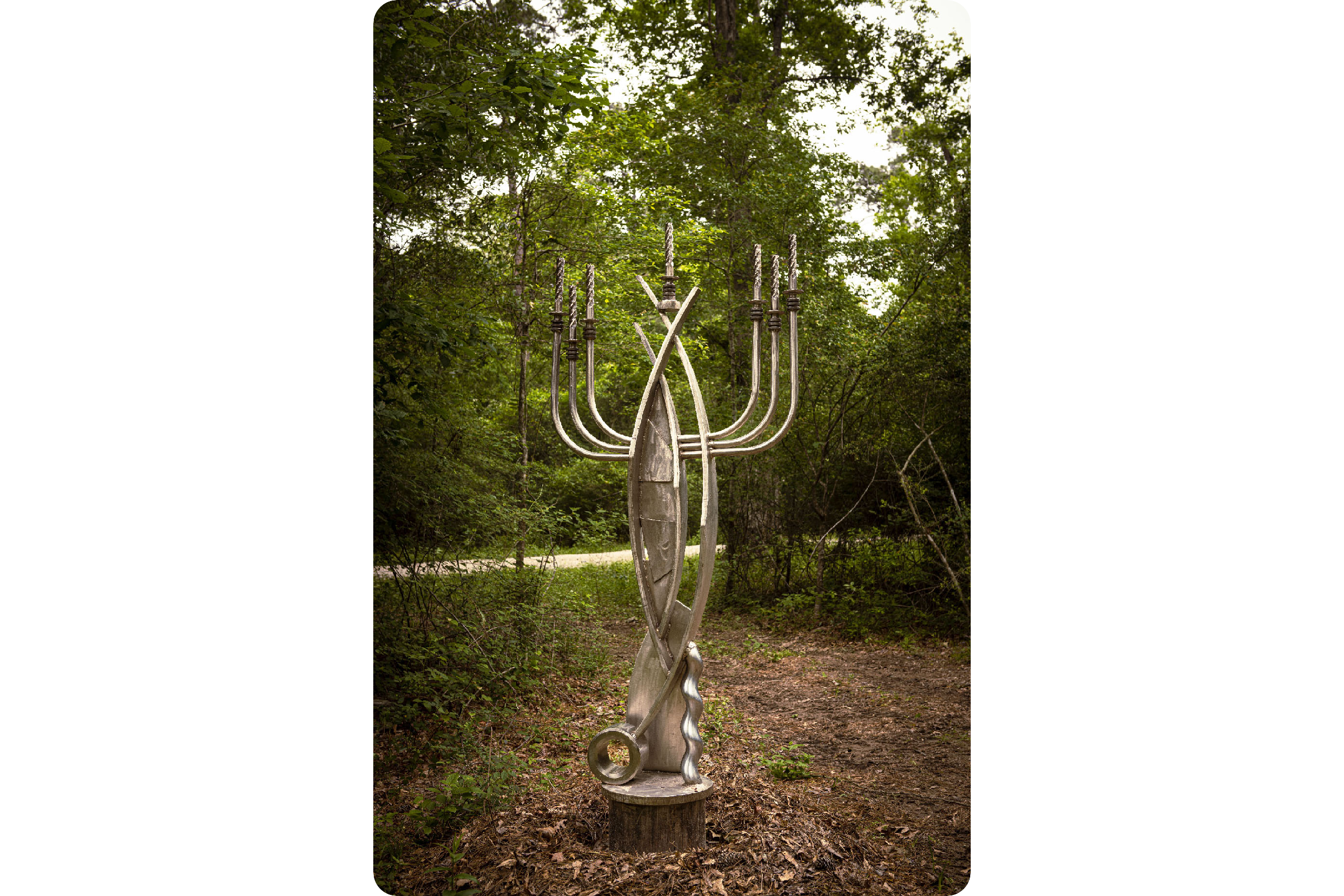 1.Tobolowsky_WeddingMenorah1_Hester_20230420_5391