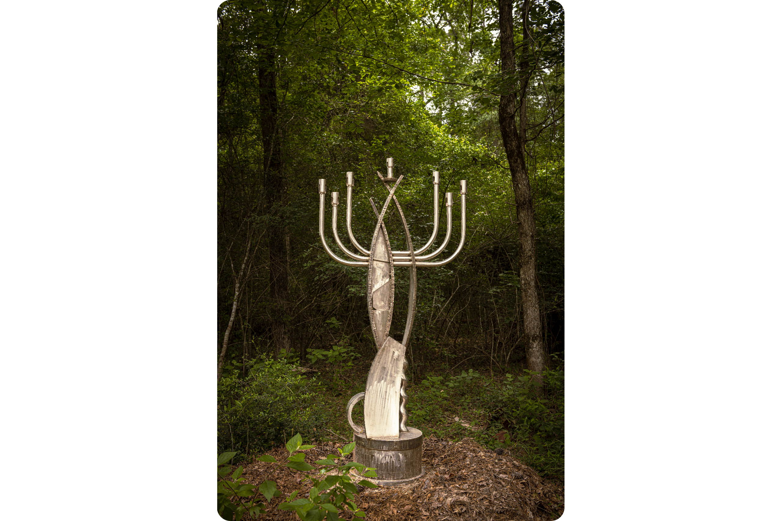 1.Tobolowsky_WeddingMenorah2_Hester_20230420_5393