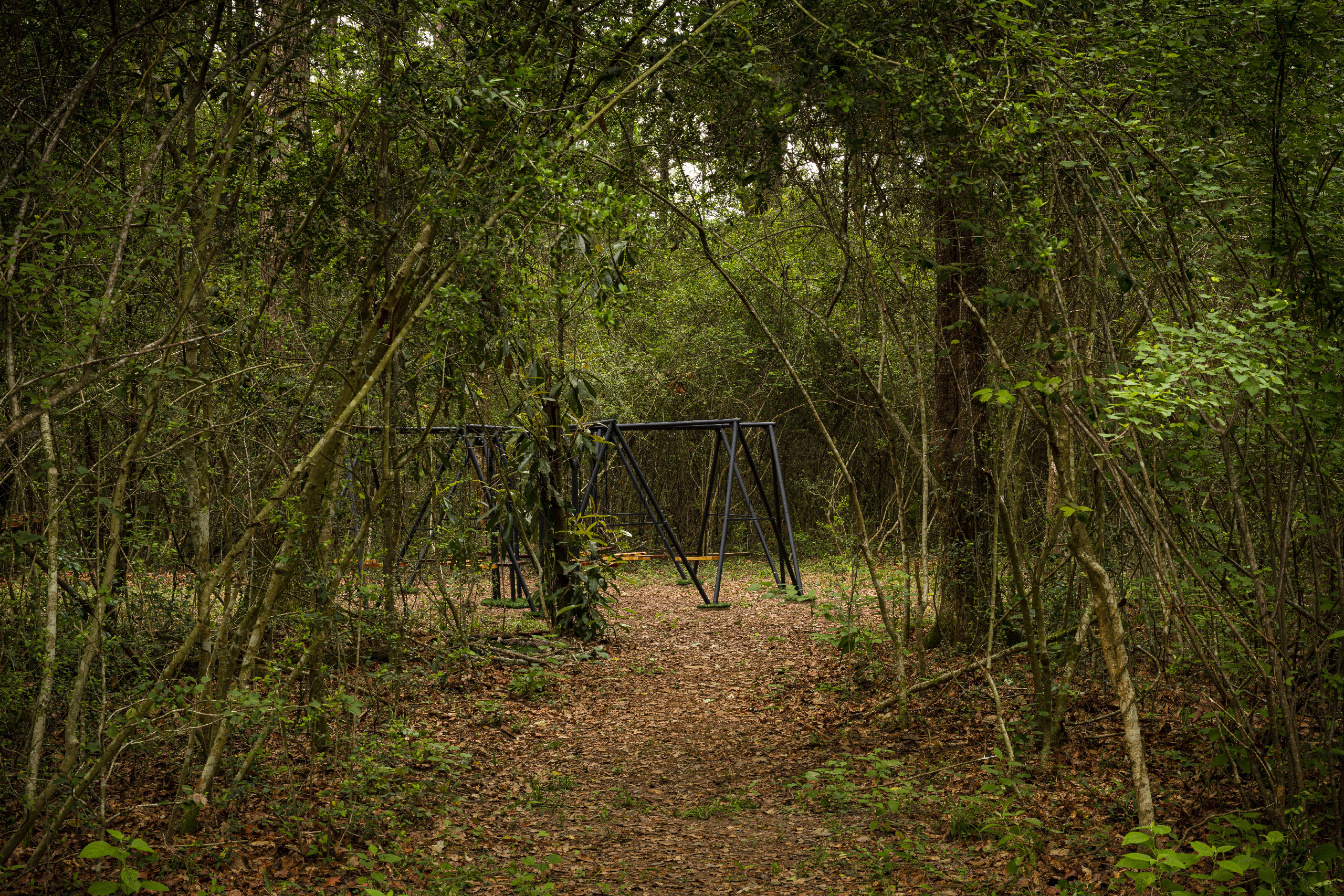 10.Bajuyo_Trail_Hester_20230420_5236