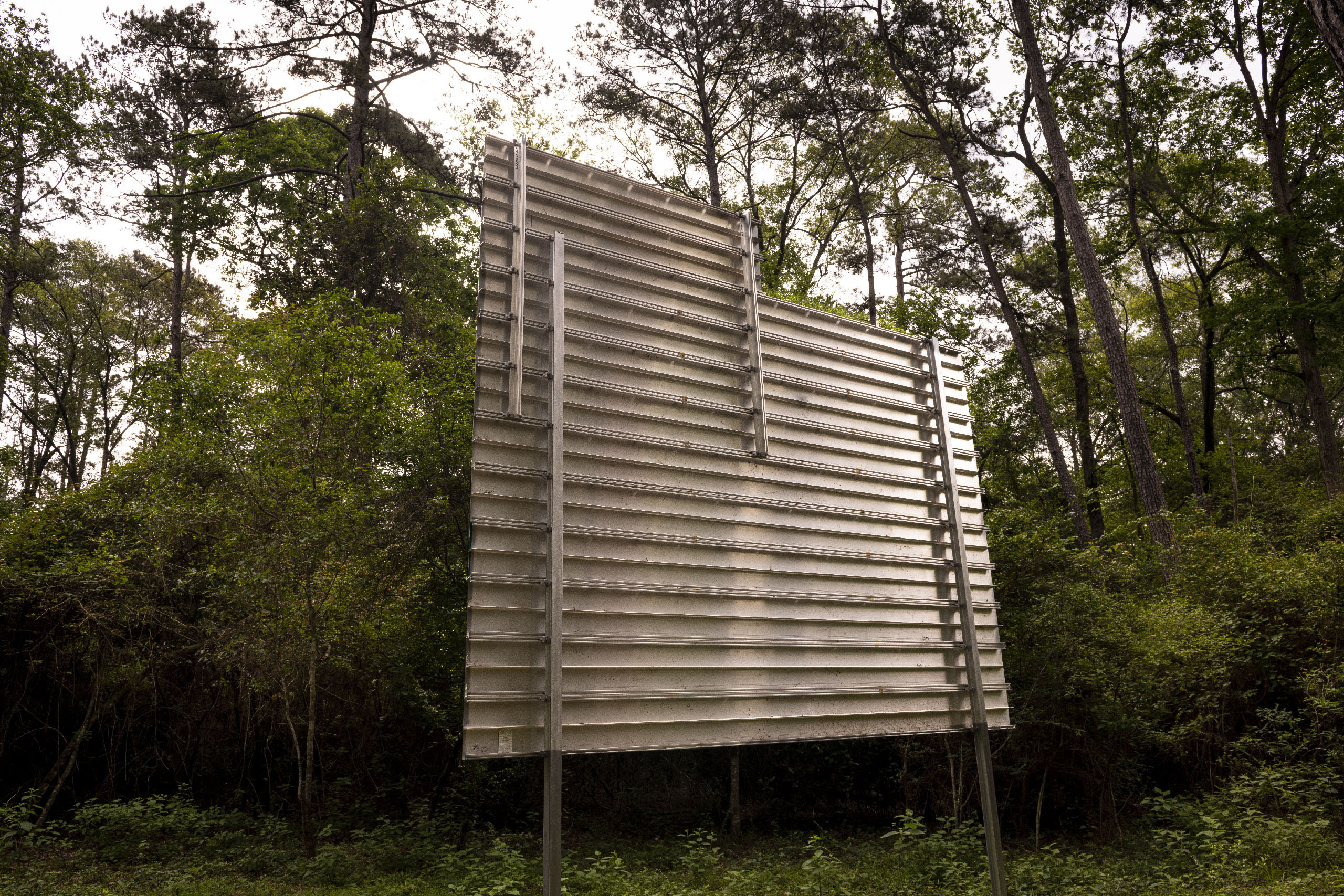 12.Massing_NextExit_Back_Hester_20230420_5192