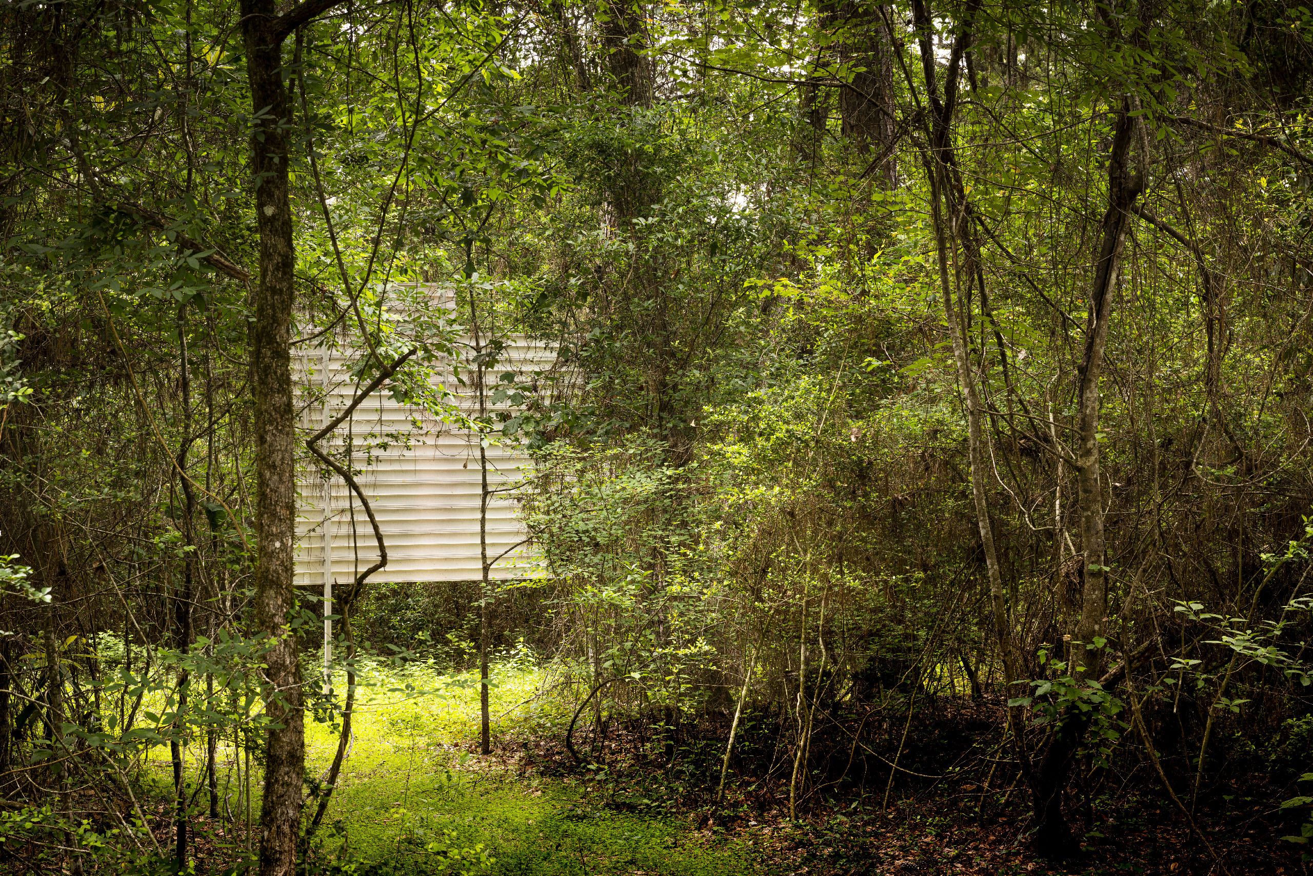 12.Massing_NextExit_Trail_Hester_20230420_5220