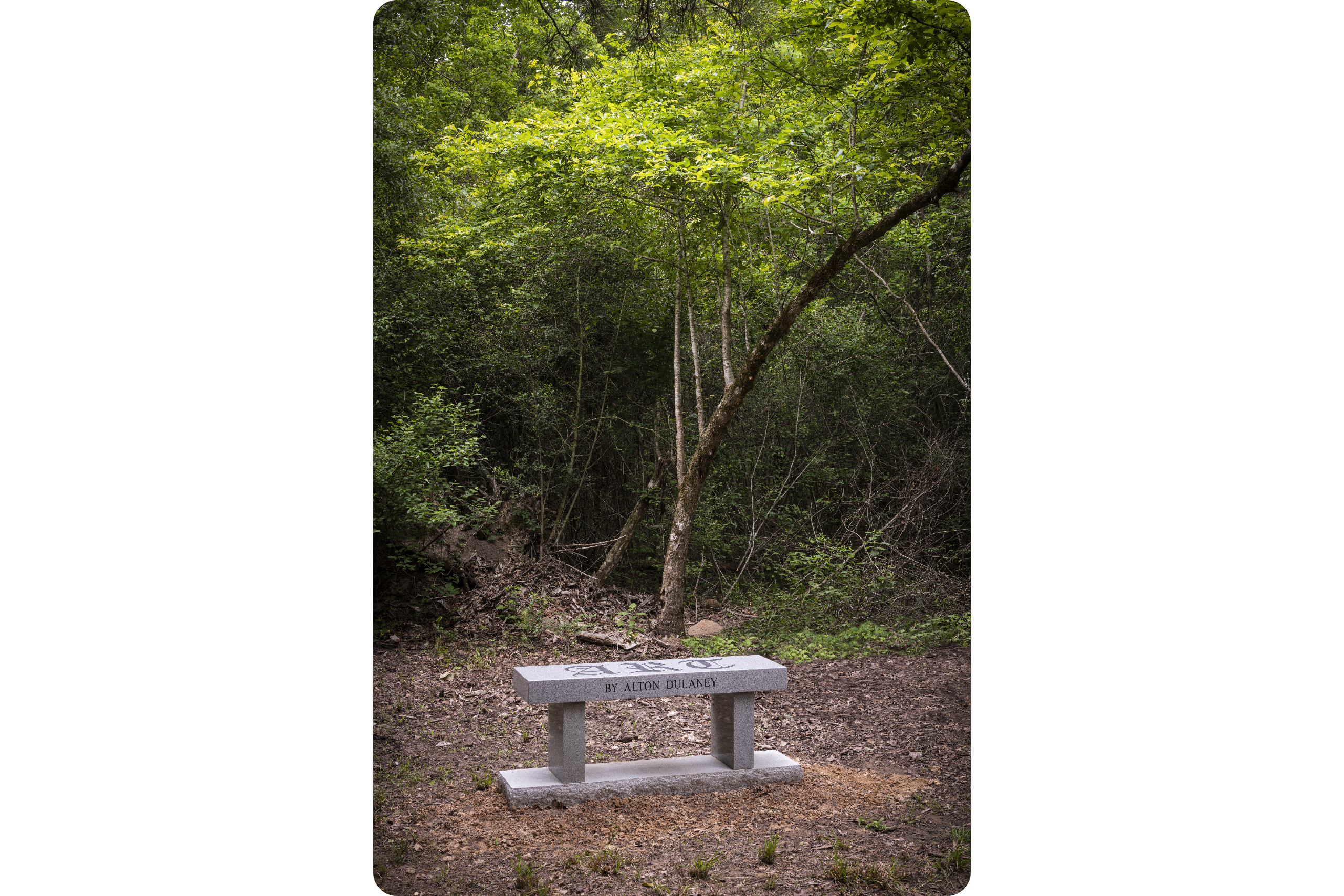 2.DuLaney_ART_Bench_Hester_20230420_5363_ADJ