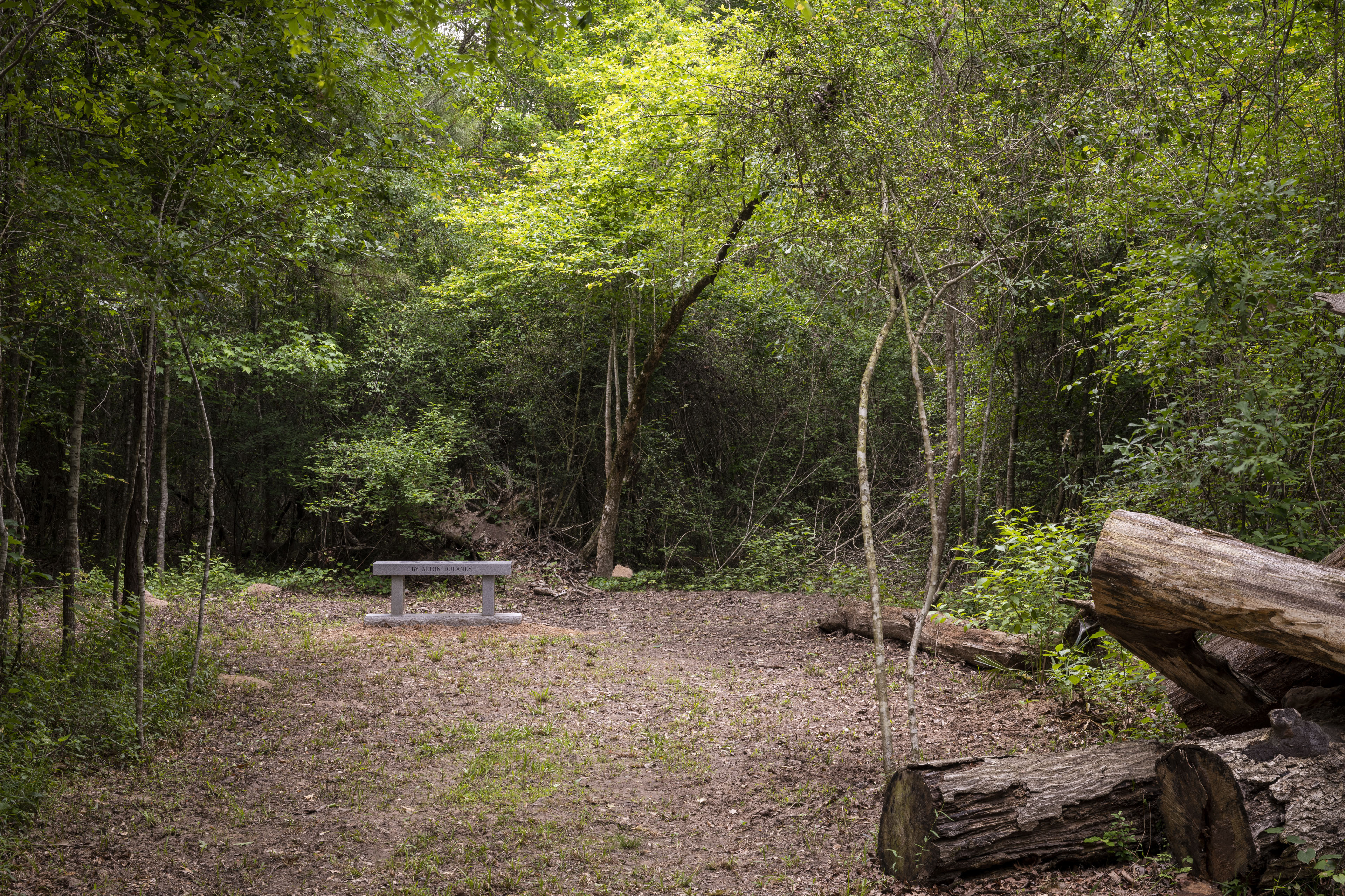 Alton DuLaney, ART BENCH II, 2023. Photo: Paul Hester.
