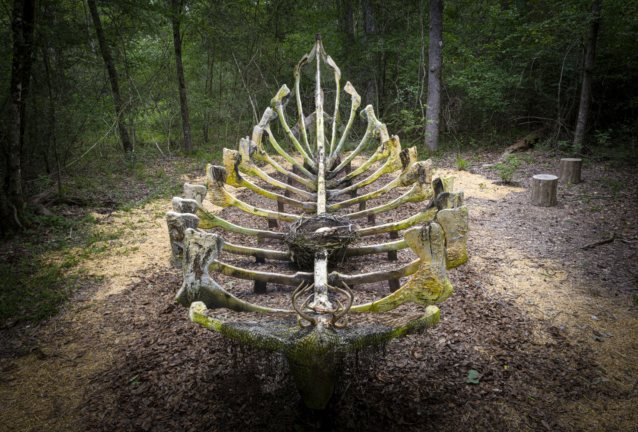 3.Kopriva_BowerBoat_Close_Hester_20230420_5324