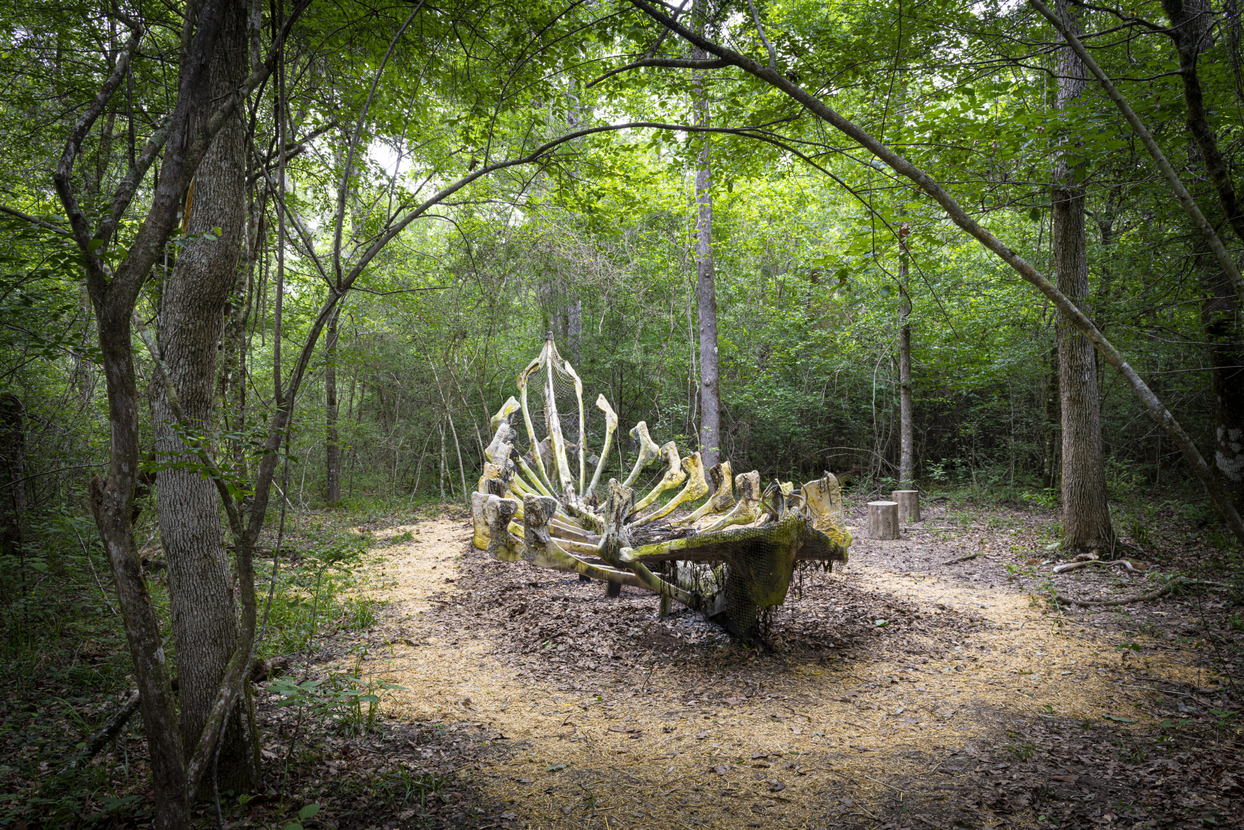 Sharon Kopriva, Bower Boat, 2023. Photo: Paul Hester.