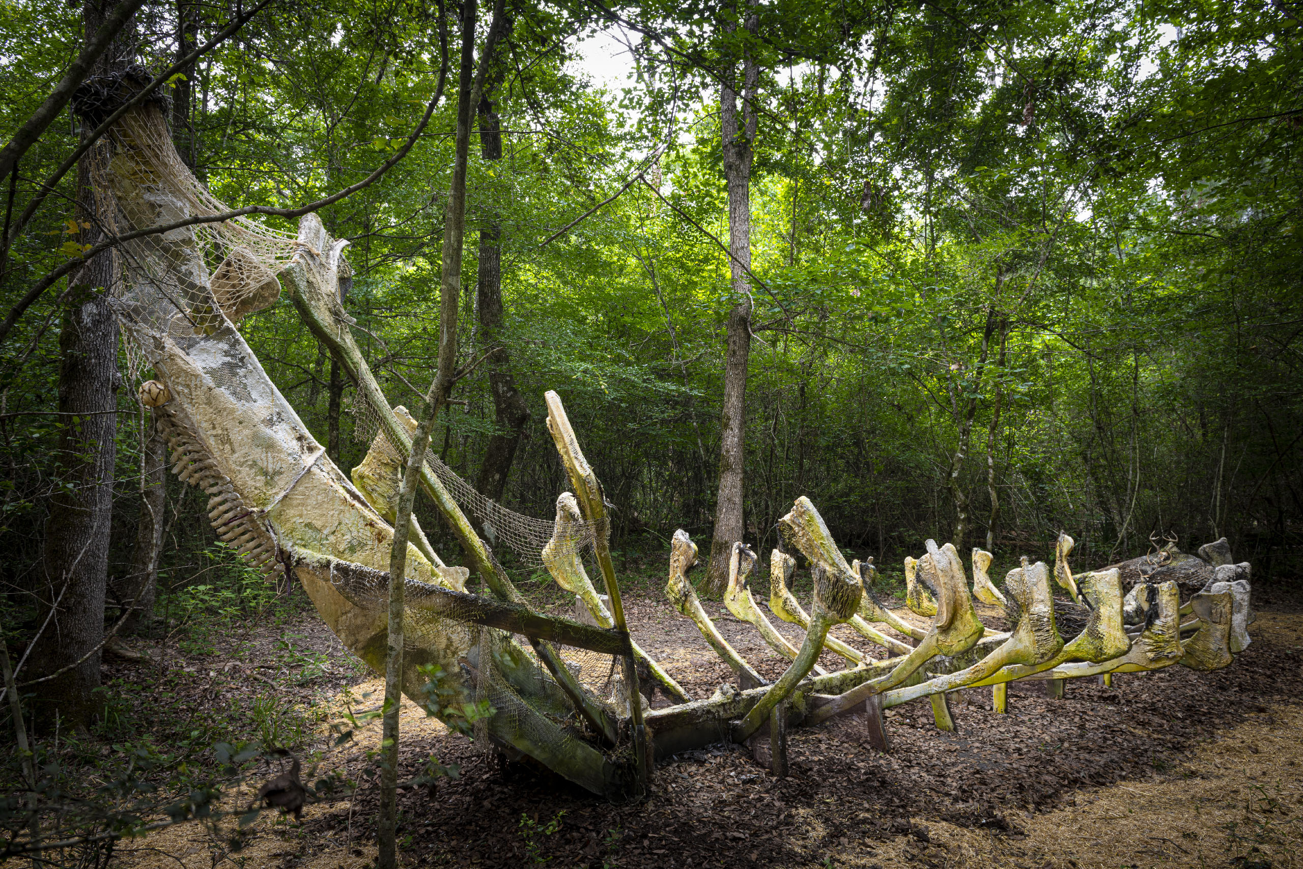 3.Kopriva_BowerBoat_ReverseView_Hester_20230420_5349