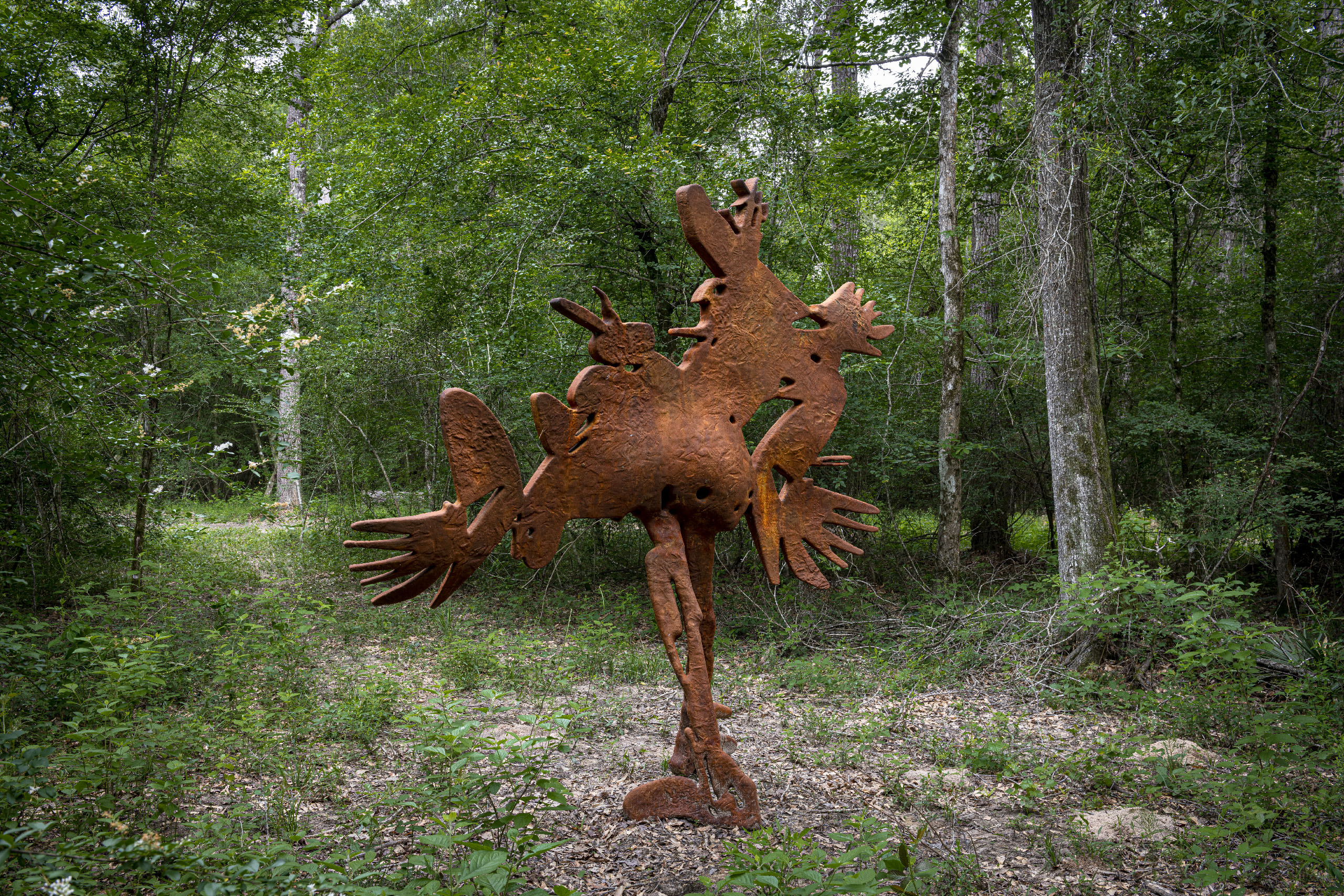 4.Calaway_BirdofPray_BackHoriz_Hester_20230420_5311