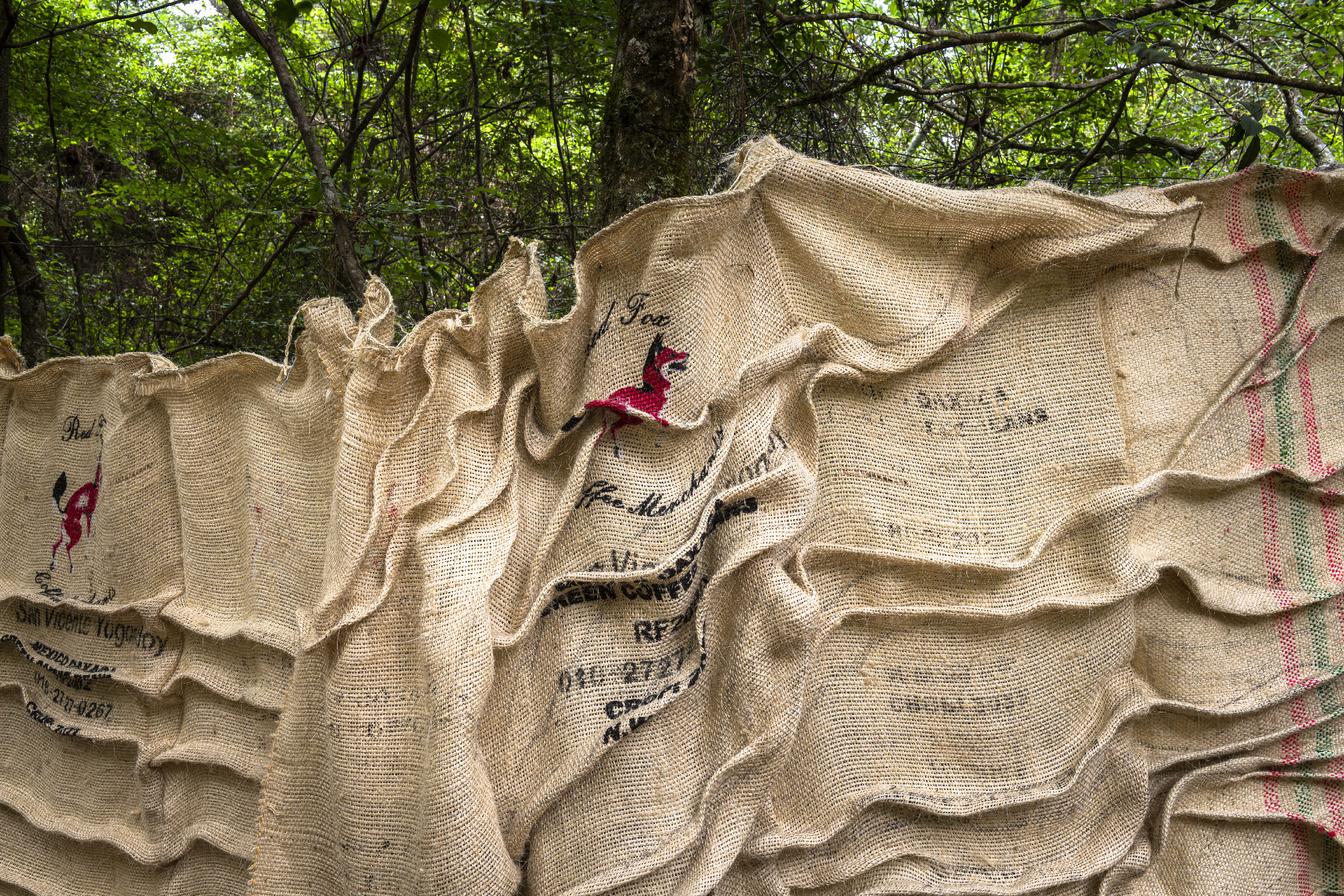 8.Smith_ItMadeaSound_Detail_Hester_20230420_5252