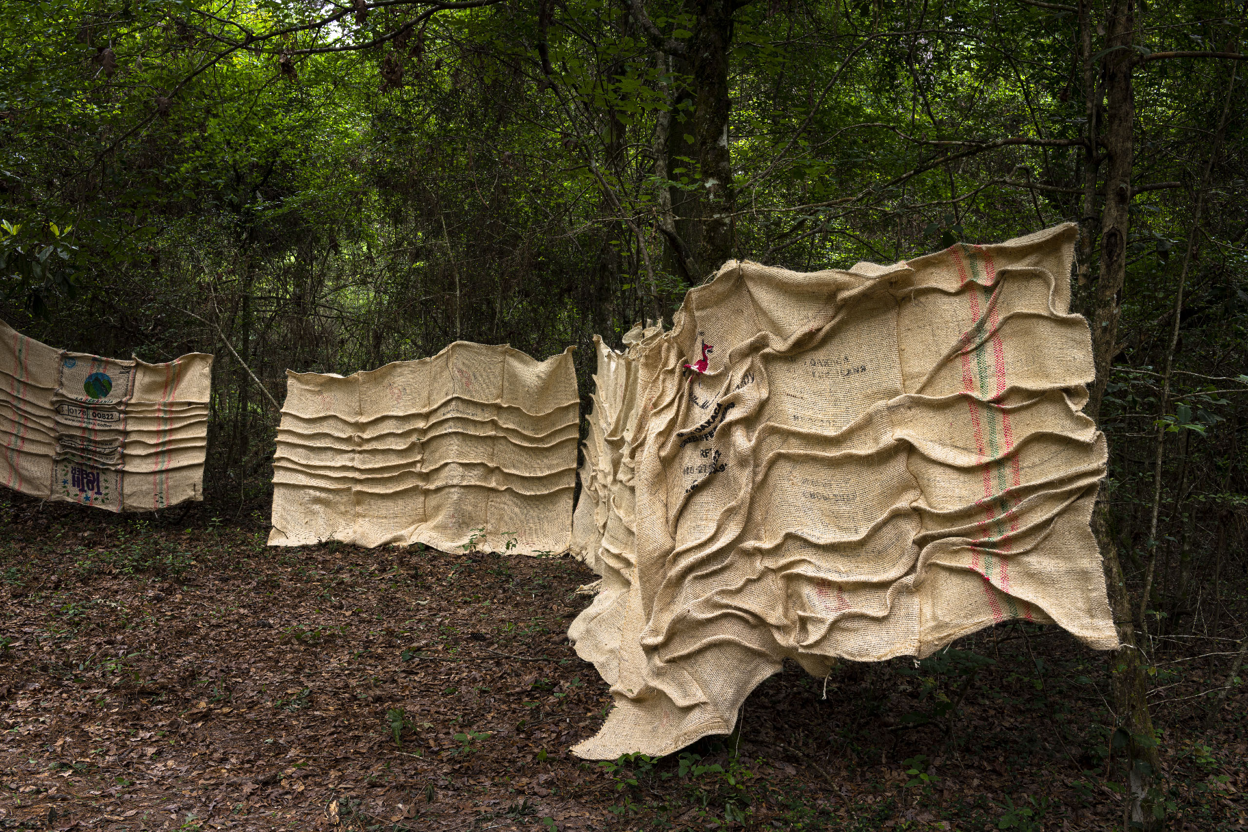 8.Smith_ItMadeaSound_Multiple_Hester_20230420_5245