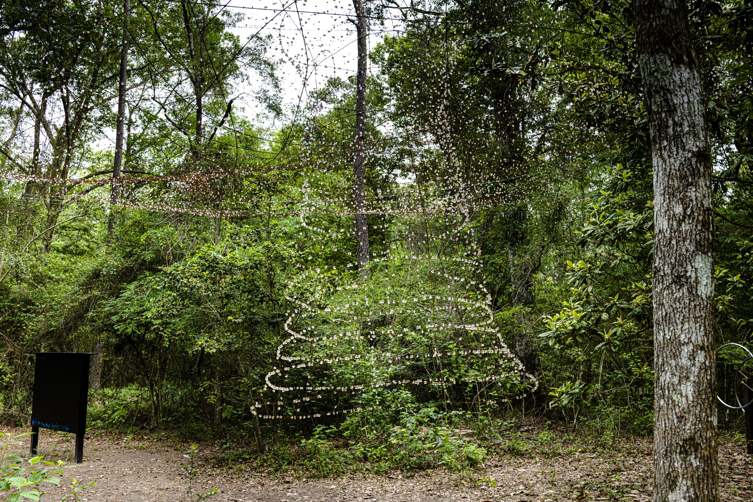 9.Owens_Shirer_LearningtoFly_FULL_Hester_20230420_5162