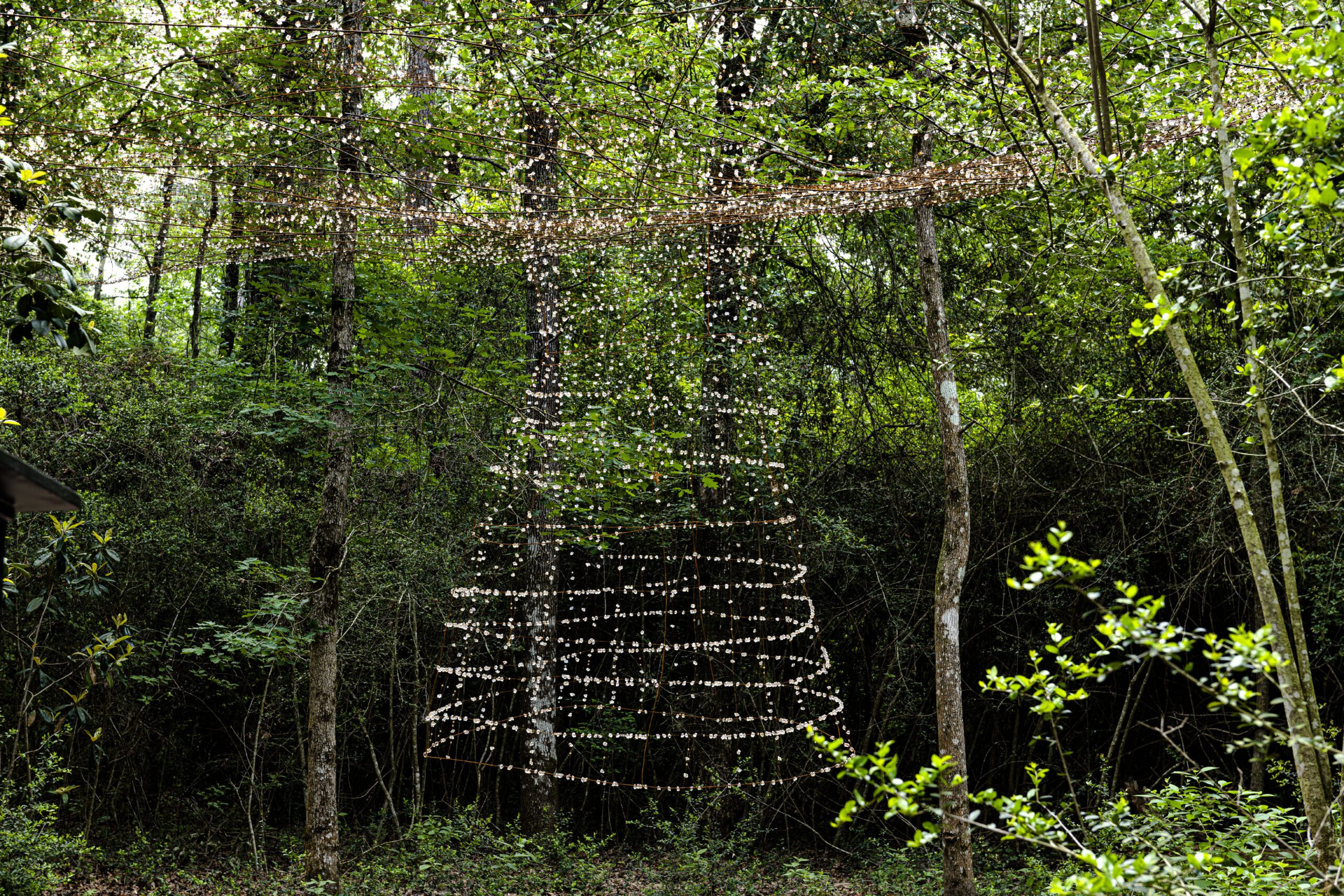 Sherry Owens and Art Shirer, Learning to Fly, 2023. Photo: Paul Hester.