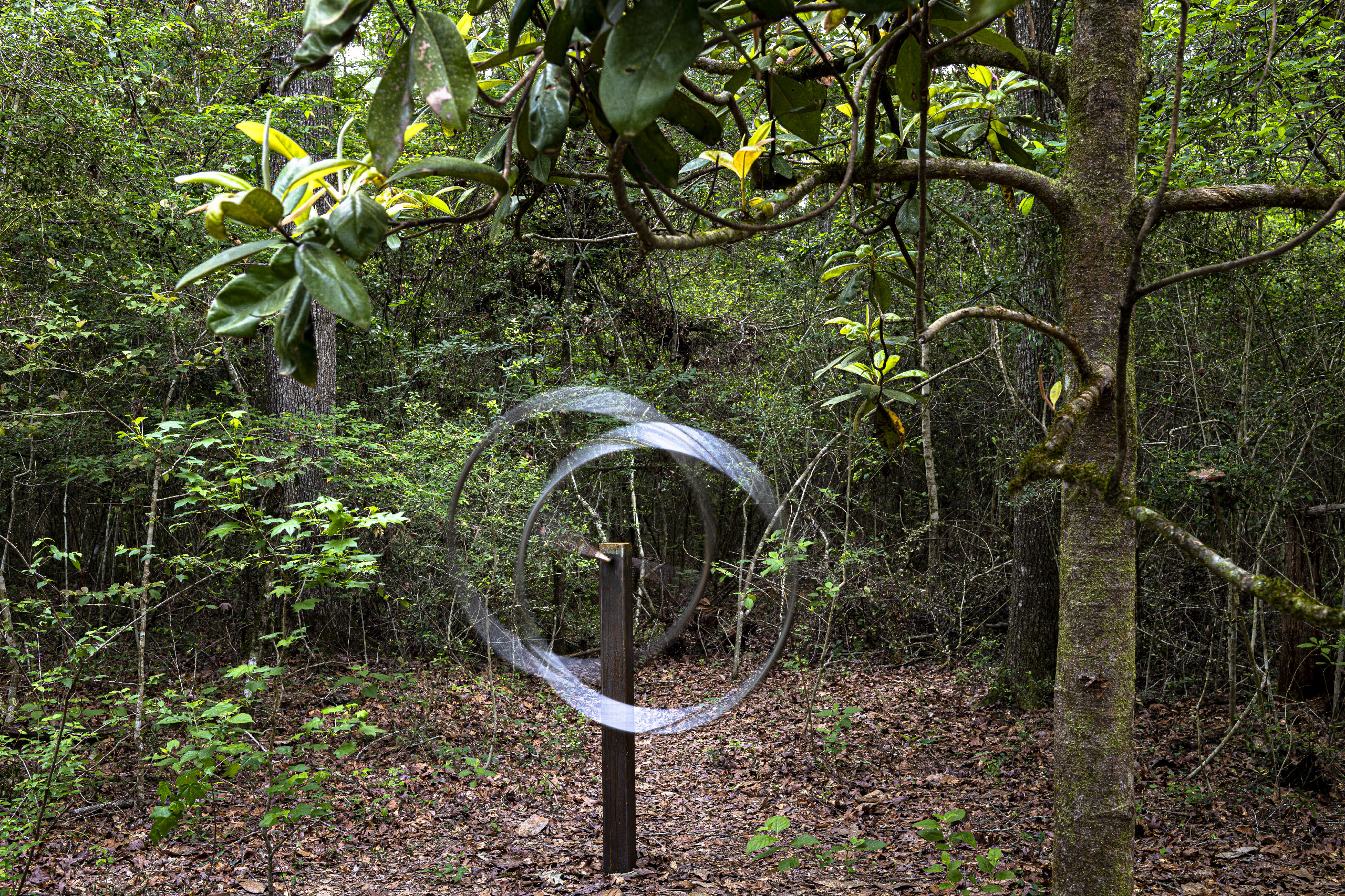 9.Owens_Shirer_LearningtoFly_SoundSculpture_inmotion_Hester_20230420_5173