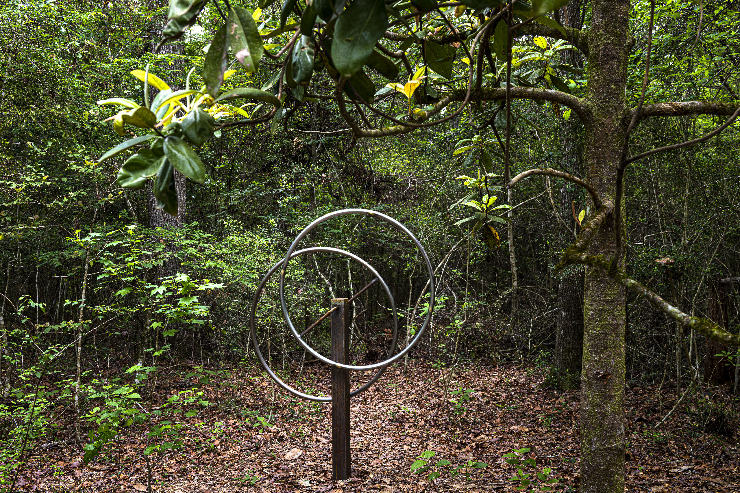 9.Owens_Shirer_LearningtoFly_SoundSculpture_still_Hester_20230420_5170